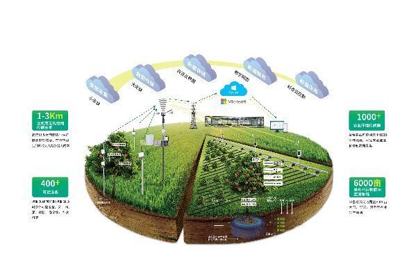 獨家專訪|科百科技副總裁劉楓 農業物聯網的破與立與物聯網技術研發